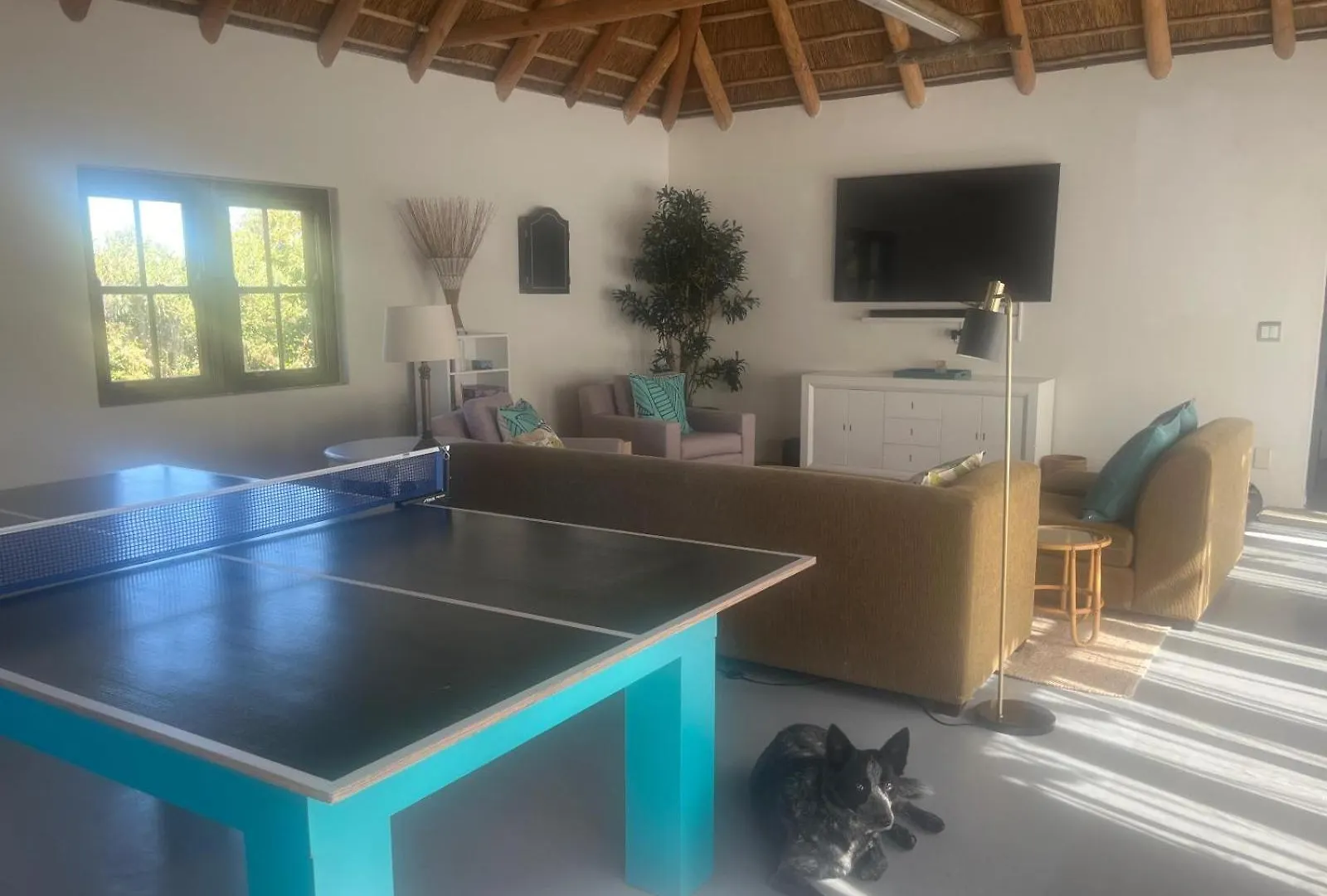 Pensión Hotel Beau'S Cape Retreat Hout Bay Sudáfrica